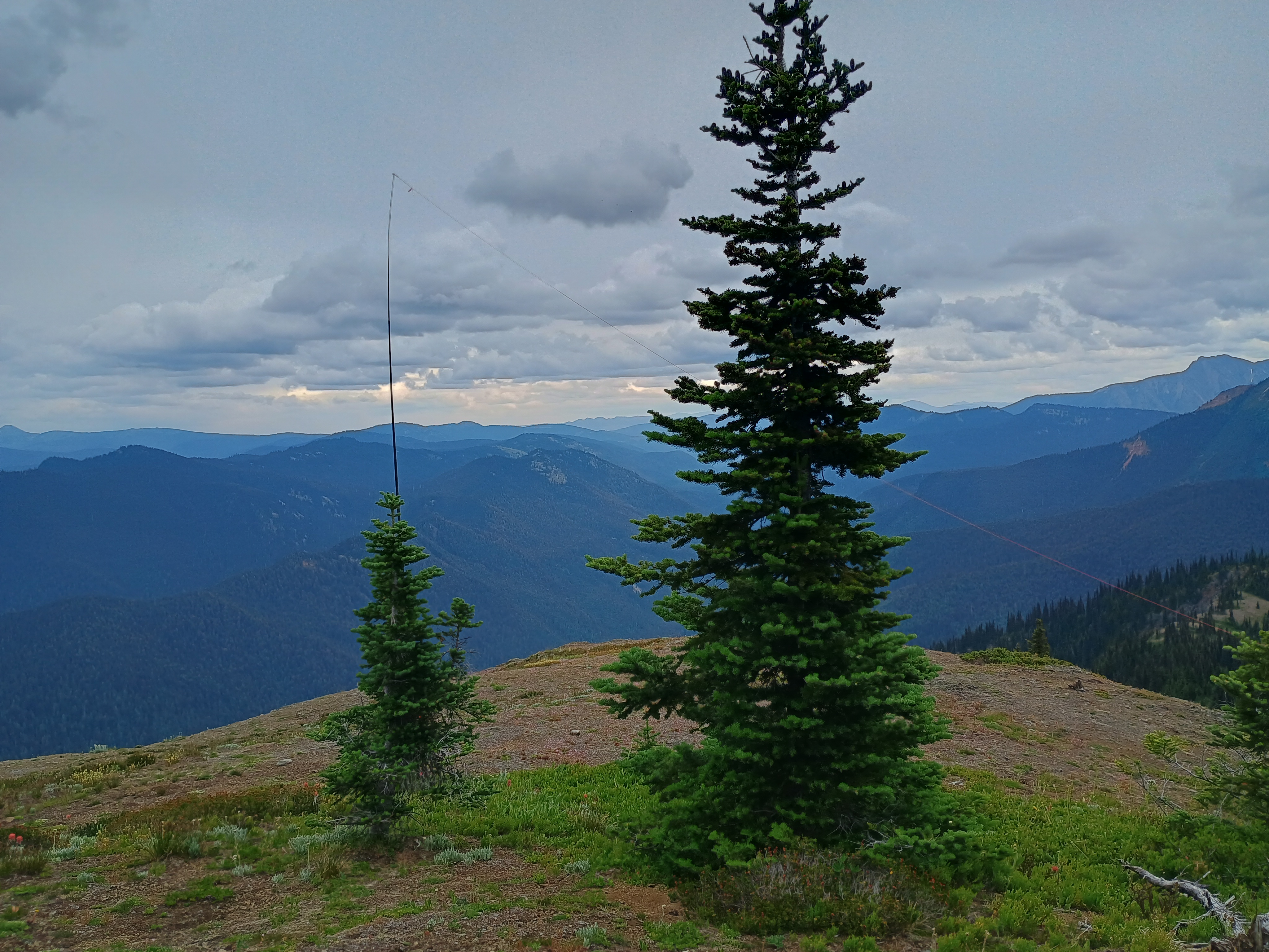Bruce's antenna on Nepopekum Mountain