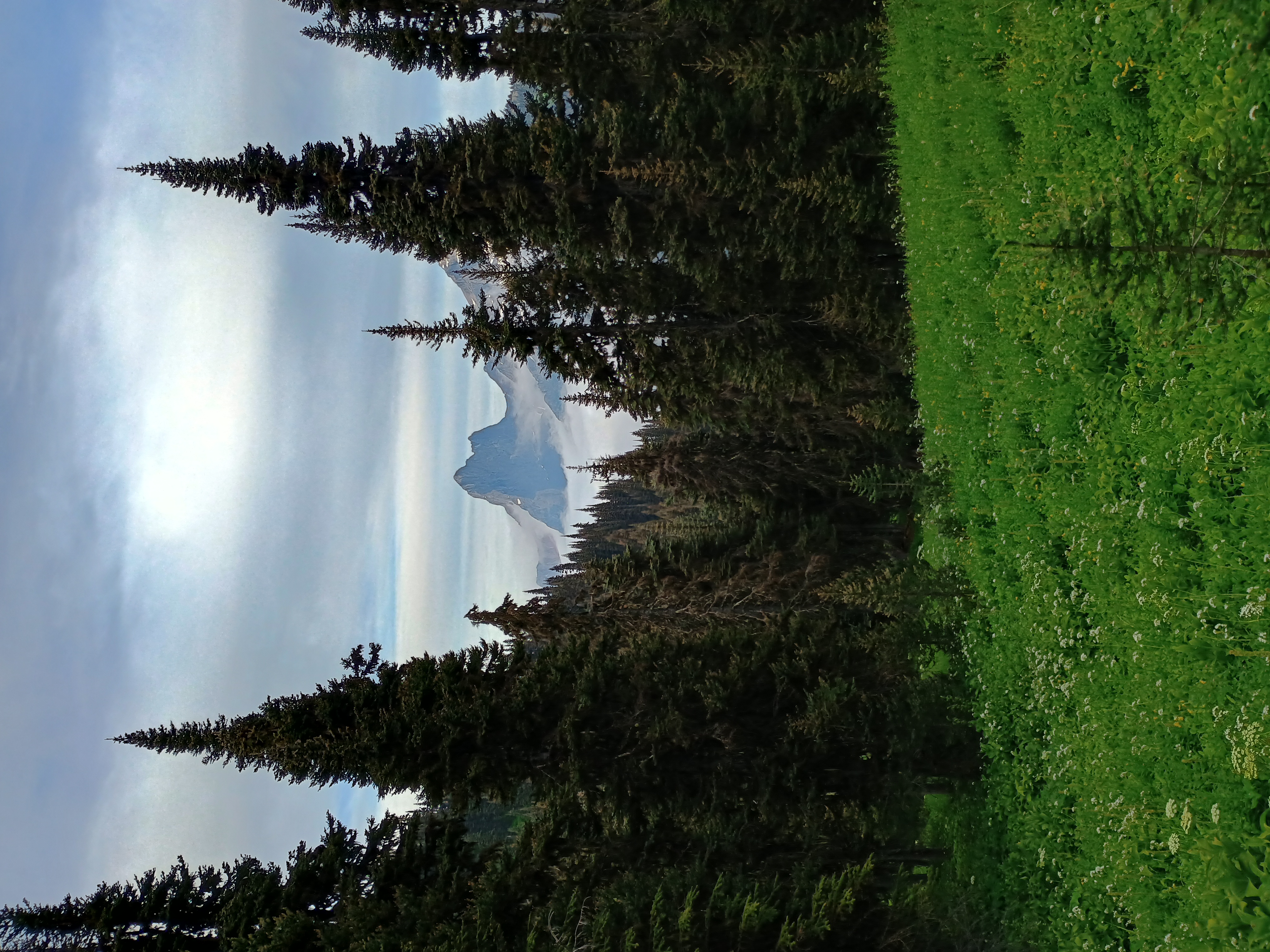 Hozomeen Mountain peeking through the trees